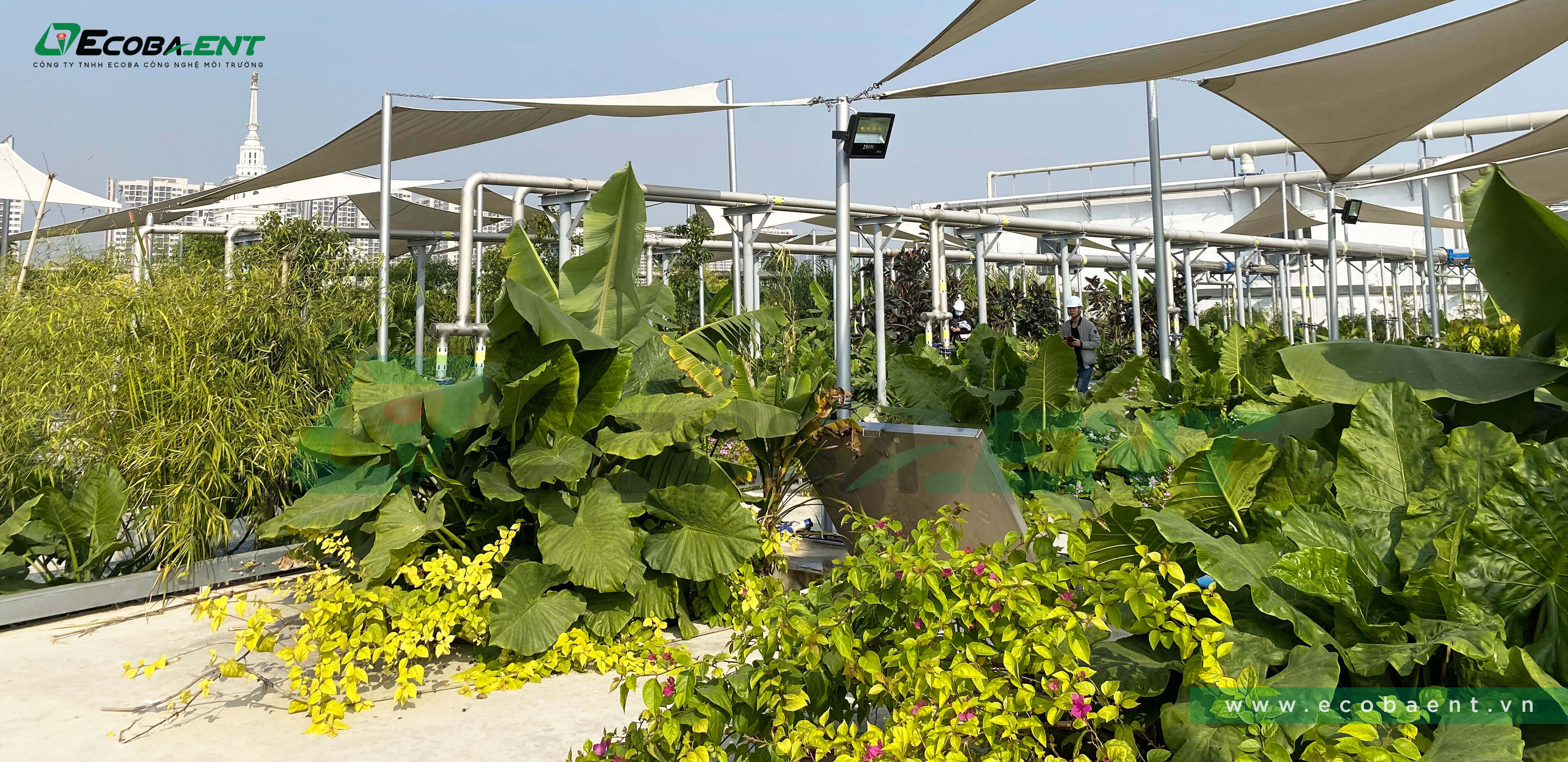 Nhà máy xử lý nước thải Vinhomes Ocean Park