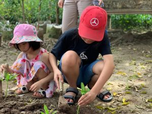 Tuy là lần đầu tiên trải nghiệm trồng cây nhưng các con đã hoàn thành rất tốt 
