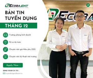 Ecoba ent tuyển dụng tháng 12