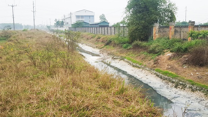 ha-noi-kien-quyet-xu-ly-cac-co-so-chan-nuoi-xa-thai-vao-cong-trinh-thuy-loi
