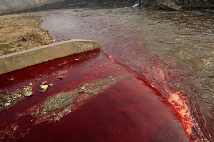 noi-lo-o-nhiem-tu-nganh-det-may-2