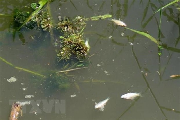 hoi-thao-quoc-te-ve-xu-ly-nuoc-thai-phi-tap-trung-tai-chau-a-lan-7