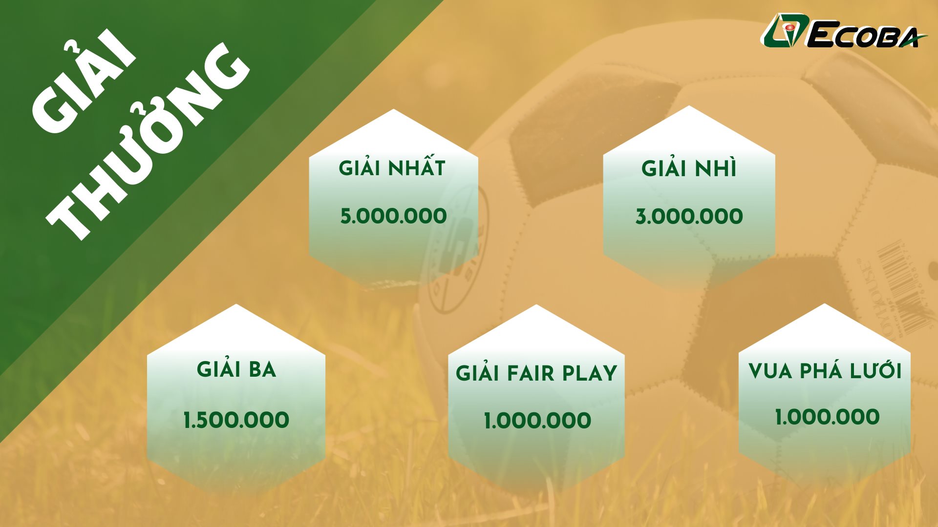 Cơ cấu giải thưởng ecoba league 2020 Cơ cấu giải thưởng ecoba league 2020