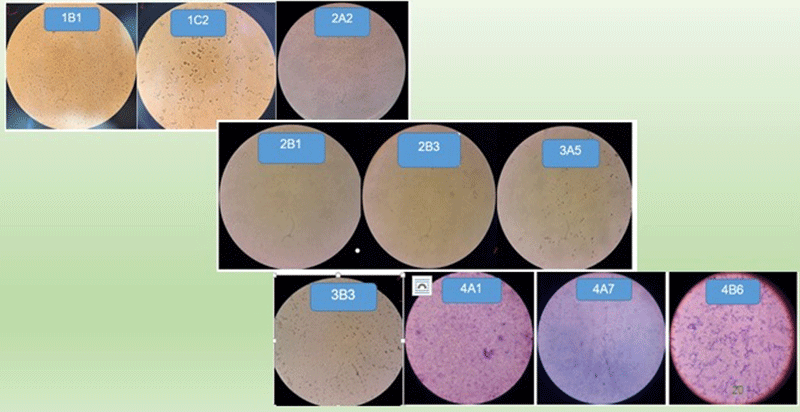 Xử lý nước thải thủy hải sản Xử lý nước thải thủy hải sản